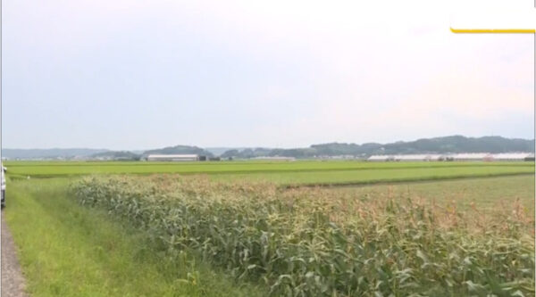 山本昌弘容疑者の顔画像,自宅住所,学校,Facebook!静岡県森町でトウモロコシ盗む
